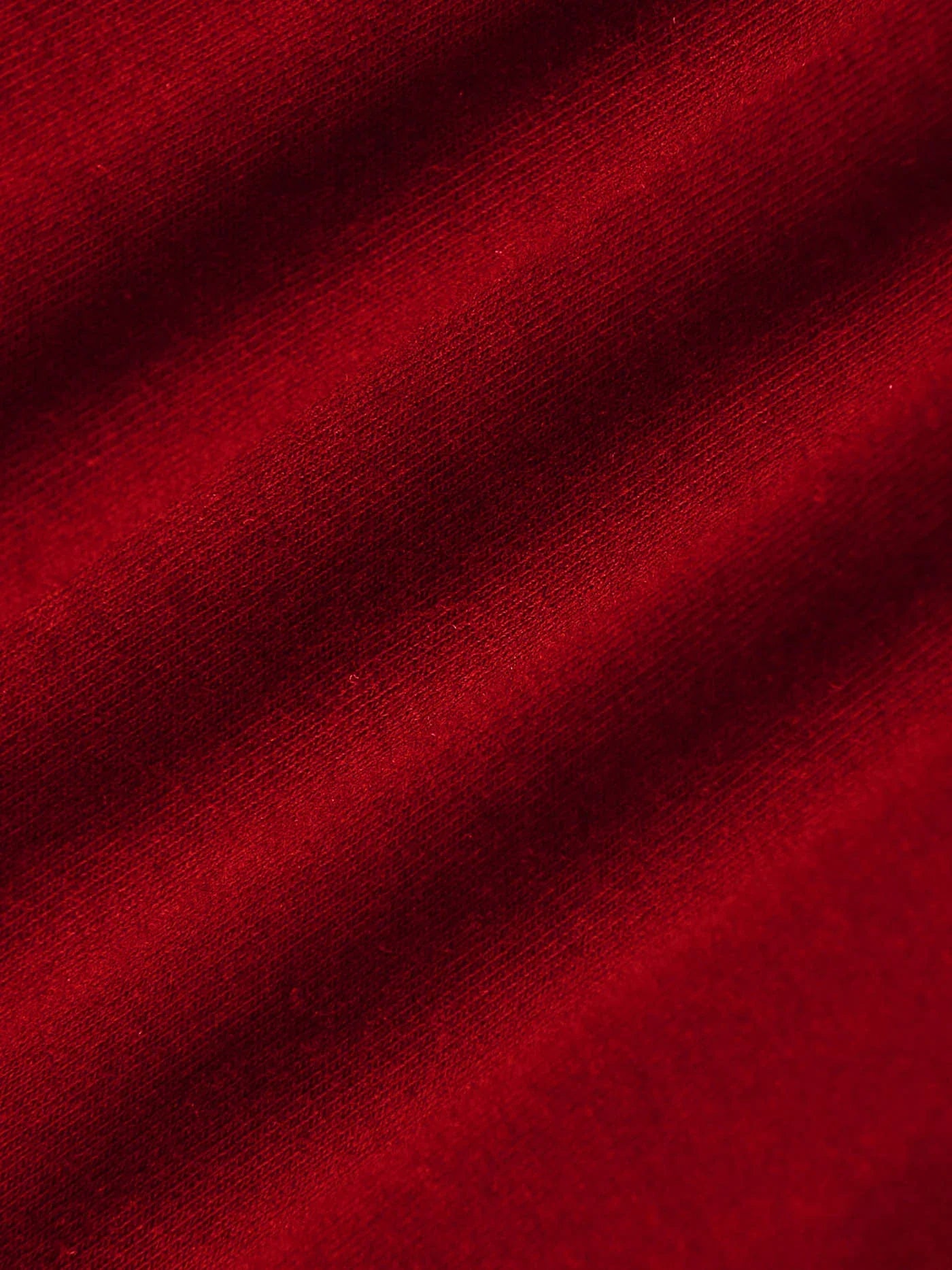 Timeless Style Fitted Tee - LA FEMME WANDERER